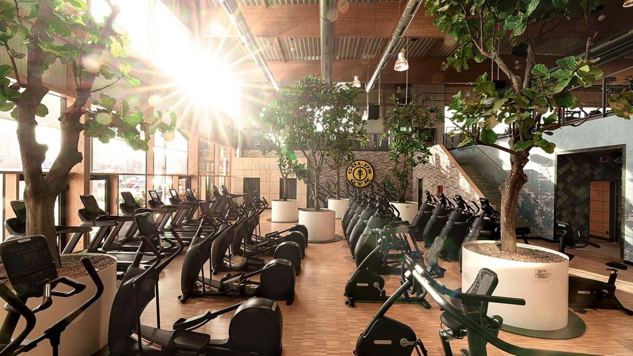 Gold's Gym