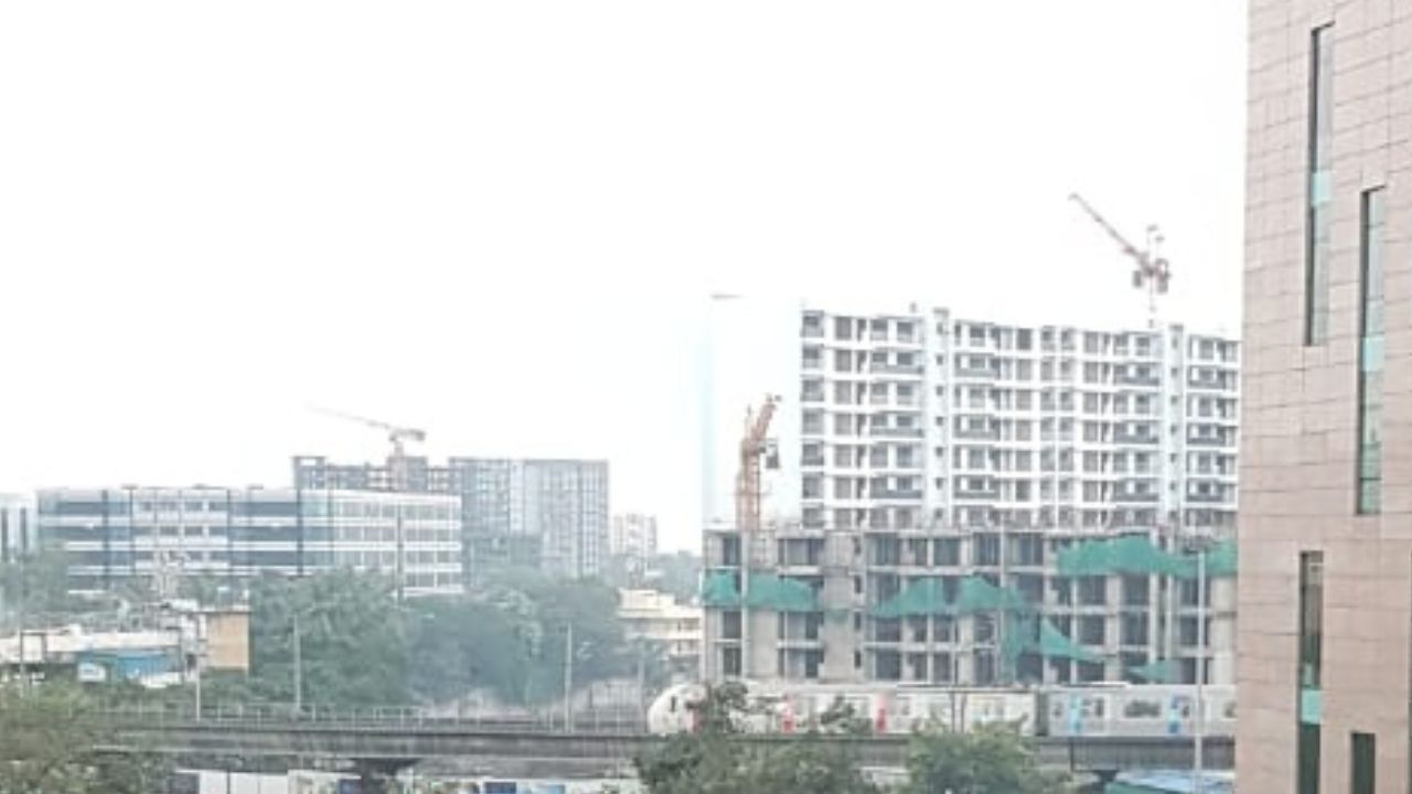 view-from-nest-up-terrace