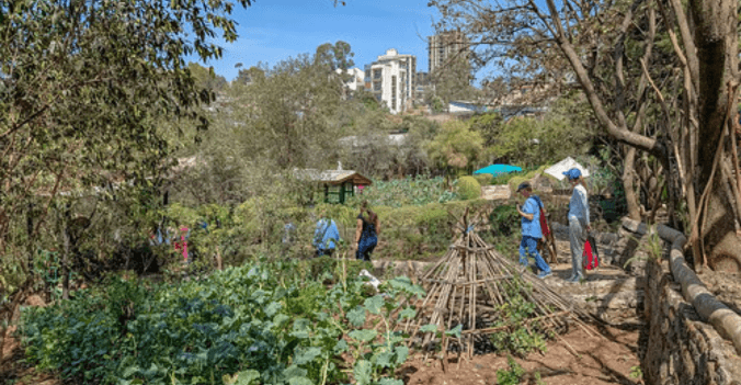 Eco-Friendly PG Accommodation